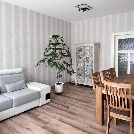 Schoene Altbauwohnung Mit Grosser Sonnenterrasse Rudolstadt Exterior foto